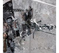 Kaleidoskop - Wir Geh'N Schon Mal Vor [Import]