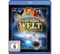 Kalle Max Hofmann - Wundervolle Welt [Blu-Ray] [Import]