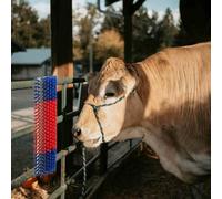 Kaloriko Brosse de refroidissement rouge et bleu 50 x 17 x 9 cm en plastique et acier, montage mural pour l'élevage et l'agriculture, brosse robuste pour l'entretien des bovins et des chevaux en