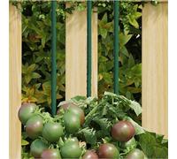 Kaloriko Piquets pour Plantes de Jardin Vert en Acier avec revêtement polypropylène, 30 pièces 60 cm, Support Structure pour Potager Serre Balcon terrasse, tuteur pour Tomate Fleur Vigne Lierre