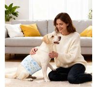 Kaloriko Protection hygiénique jetable pour Chien mâle, 30 pièces Blanc Taille S, Couche Culotte Absorbant réglable, Protection antifuite pour Incontinence, Dressage, Voyage, Maison