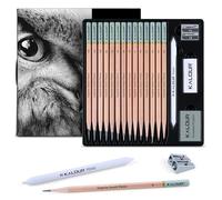 KALOUR Lot de 18 crayons à croquis professionnels - Comprend des crayons de 5H à 12B, une gomme en vinyle, une gomme pétrie, un taille-crayon et une souche de mélange de papier - Idéal pour les