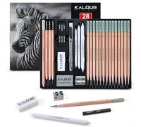 KALOUR Lot de 28 crayons à croquis professionnels - 14 crayons graphite (14B-5H), fusains, gommes, taille-crayons et monture - Kit d'art complet pour artistes et