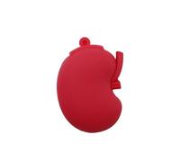 KALPZ-Clé Usb De Dessin Animé D'Organes Humains, Clé Usb, Clé Usb, 64 Go, 32 Go, Disque U De Mémoire, C?ur Pulmonaire, Estomac, Cerveau, Médecin,16 Go,C