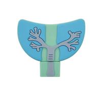 KALPZ-Clé Usb De Dessin Animé D'Organes Humains, Clé Usb, Clé Usb, 64 Go, 32 Go, Disque U De Mémoire, C?ur Pulmonaire, Estomac, Cerveau, Médecin,16 Go,F