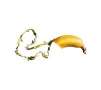 Kalttoy Araignées sautantes en forme de banane pour terrarium, décorations d'apparence naturelle, cachettes pour reptiles réalistes