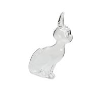 Kalttoy Bocal commémoratif compact en verre transparent pour poils d'animaux domestiques - 6 x 19 cm
