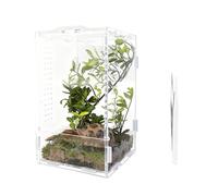 Kalttoy Boîte d'élevage pour reptiles - En acrylique transparent - Cage d'élevage - Petit récipient en verre - Araignées sauteuses - Pour petits animaux - Enclos pour créatures et habitats