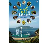 Kamanaka Hitomi-Ashes to Honey [Edizione: Giappone] [Import]