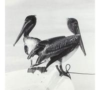 Kamarainen, Timo - Blink and You Miss It [Import]