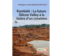KAMBÉLÉ: La future Silicon Valley à la lisière d’un cimetière