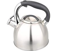 Kamberg - Théière Bouilloire sifflante 3 litres - Acier inoxydable - Poignée ergonomique - Tous Feux dont Induction - 0008113, Gris