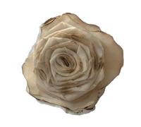Kameliennadel, elegante, gebrannt, seitliche Clip-Nadel, Haarspange, süße, elegante Nadel im Stil der Blumenbrosche, Balletcore