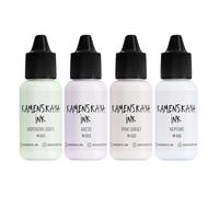 Kamenskaya Lot de 4 cartouches d'encre à alcool #15 : combinaison d'encres à l'alcool de couleur assortie. 15 ml chacune