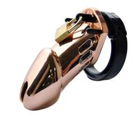 KaMieeg Cage à Oiseaux Multifonctionnelle en Plastique Doré - Matériel D'entraînement - Outil De Protection De La Condition Physique, Clé + 5 Mousquetons + Serrure, Longue - Cadeau Original - K2