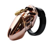 KaMieeg Cage à Oiseaux Multifonctionnelle en Plastique Doré - Matériel D'entraînement - Protection Fitness, Clé + 5 Mousquetons + Serrure, Courte - Cadeau Original - K1