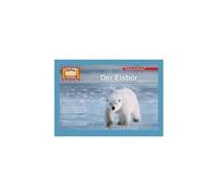 Kamishibai: Der Eisbär