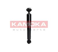2x KAMOKA Jambe de suspension Amortisseur convient pour PEUGEOT Partner II Tepee
