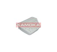 KAMOKA F212201