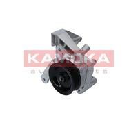 Pompe de direction assistée hydraulique PP121 KAMOKA pour IVECO