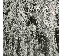 Kan Mikami - Makeru Toki Mo Arudarou [Import]