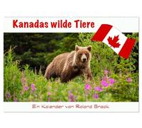 Kanadas Wilde Tiere (Wandkalender 2026 DIN A2 quer), CALVENDO Monatskalender: Die wilden Tiere Kanadas vom mächtigen Grizzlybär bis zur filigranen Libelle