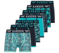 Kandor caleçon Homme - Lot de 7, Boxers pour Hommes Confortables, Boxer Shorts en Coton avec élasthanne, sous vêtements Originaux, Calecon coloré, Slip Sport Underwear FLORID (XL, Pack C)