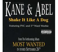 Kane & Abel - Shake It Like a Dog