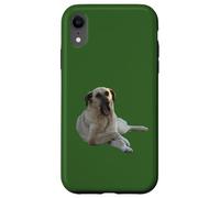 Kangal Chien Bâillant Vector Cut Out Coque pour iPhone XR