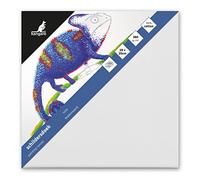 Kangaro K-810021 Toile en toile Blanc 20 x 20 cm