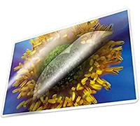 Kangaro Lot de 100 feuilles de plastification A4 216 x 303 mm 100 microns