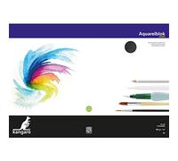 Kangaro Lot de 12 feuilles de papier aquarelle A2 300 g Noir