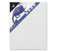 Kangaro, toile, Blanc, 24x30cm, K-810031