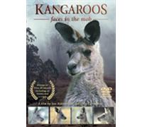 Kangaroos: Faces in the Mob