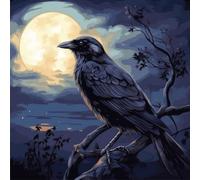 KANGBAWA Peinture par Numero Adulte Corbeau de la nuit noire Lune (4) DIY Peinture à l'huile Numéros Toile Paint by Numbers Peindre par Nombre Kits sans Cadre 40x50cm