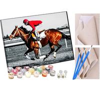 KANGBAWA Peinture par Numero Adulte Kit Peinture Adulte Enfant Comprend des Peintures Acryliques et des Pinceaux - jockey de course de chevaux Sans Cadre (Toile 40x50 cm)