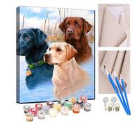 KANGBAWA Peinture Par Numero pour Adulte und Enfant Débutants Kit de Bricolage Peinture à l'huile Trois adorables chiens de compagnie labrador retriever sur Toile avec Acrylique et Pinceaux 40 x 50cm