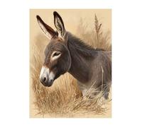 KANGSONGWENJIAJU animal Peinture Diamant Adulte Complet - âne 5D Diamond Painting Kit Broderie, Tableau Diamant pour Bricolage Adultes, Loisirs Créatifs et Décoration Murale 60x80 cm KSWF935