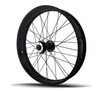 KANGXYSQ Roue Fat Bikes 20/26x4.0'' Roue Avant De Vélo De Neige Blocage Rapide Roues 135mm Alliage D'aluminium Moyeu Avant 6 Boulons 36H Frein À Disque for Vélo De Plage(20In Front Wheel)