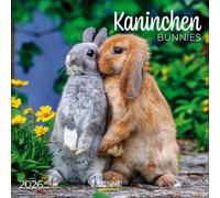 Kaninchen 2026: Broschürenkalender mit Ferienterminen. Format: 30 x 30 cm