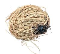 Kankan Éponge Exfoliante Africaine 1 Unité - Niampé Niakh Sénégalais - Soin Corporel Traditionnel avec Savon Noir - Fibres Végétales Naturelles
