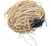 Kankan - Éponge Exfoliante Naturelle Africaine avec Savon Noir | Niampé Niakh - Soin Corporel Traditionnel