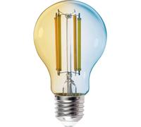 Kanlux Ampoule à LED CEE: E (A - G) S A60 7W E27 CCT E27 7 W de blanc chaud à blanc froid