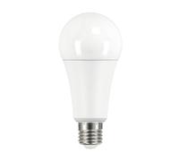 Ampoule LED E27 - 19W - 2452lm - Blanc Naturel - A67 - 150W équivalent
