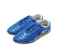 KANLVU Chaussures De Tai Chi pour Femmes Et Hommes Légères Kung Fu Chaussures d'arts Martiaux pour L'entraînement, Le Sport, La Compétition Chaussures De Taekwondo(43EU,K)
