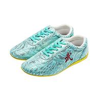 KANLVU Chaussures De Tai Chi pour Femmes Et Hommes Légères Kung Fu Chaussures d'arts Martiaux pour L'entraînement, Le Sport, La Compétition Chaussures De Taekwondo(36 EU,M)