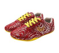 KANLVU Chaussures De Tai Chi pour Femmes Et Hommes Légères Kung Fu Chaussures d'arts Martiaux pour L'entraînement, Le Sport, La Compétition Chaussures De Taekwondo(44 EU,E)