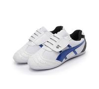 KANLVU Chaussures De Tai Chi pour Hommes Et Femmes Chaussures Légères De Taekwondo d'arts Martiaux Chaussures Kung Fu avec Semelle Souple pour L'entraînement Au Karaté(44 EU)