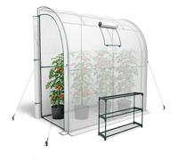 KANWOD Serre de Jardin avec Étagère, 2 Portes Enroulables et Fenêtre, Résistante à l'hiver, Stable & Facile à Monter, Serre d'hivernage pour Terrasse et Jardin, 100×200×210 cm