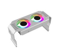 Kanylavy Module de MéMoire RAM pour Ordinateur Refroidisseur PC DDR4 DDR5 Overlock Double Synchronisation ARGB Ventilateurs PWM Radiateur de Refroidissement RVB en Aluminium (B)